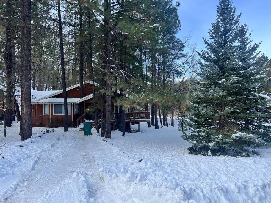 The Bluejay Cabin At Munds Park, Az! Sedona Eksteriør bilde